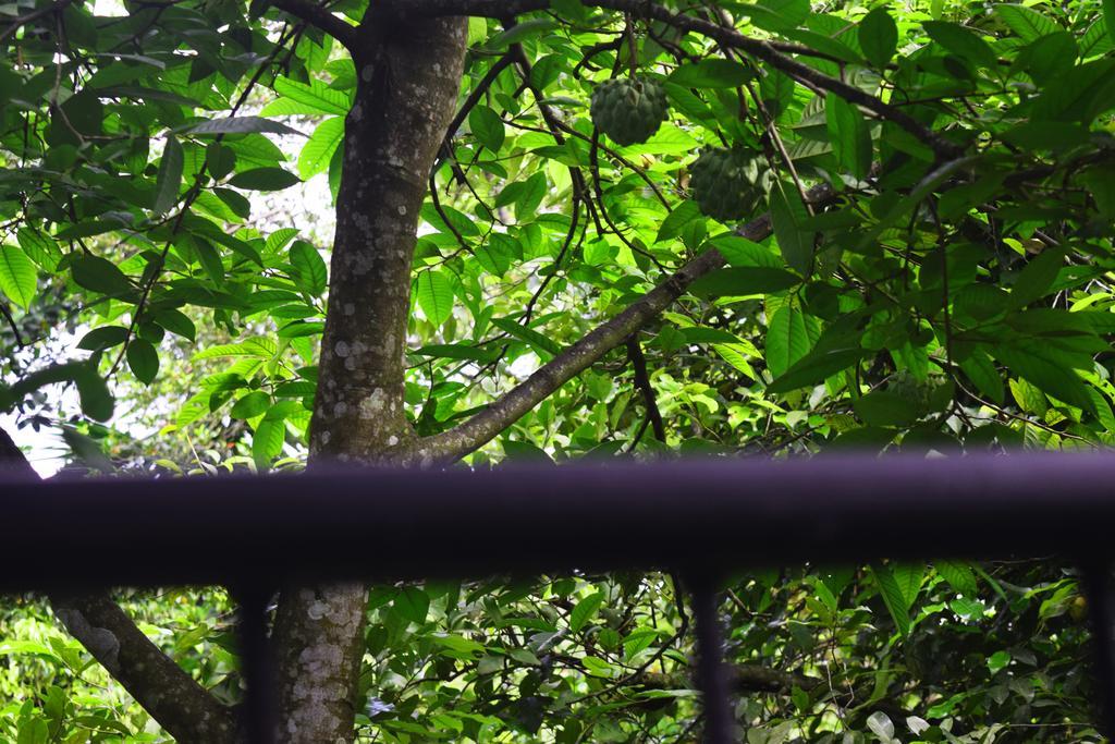 Avaana By Springhills Hotell Kandy Exteriör bild