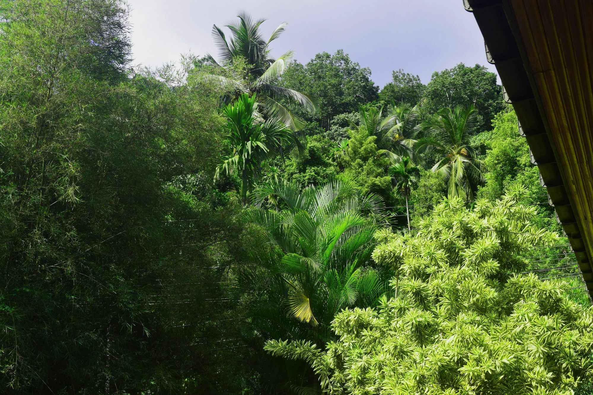 Avaana By Springhills Hotell Kandy Exteriör bild
