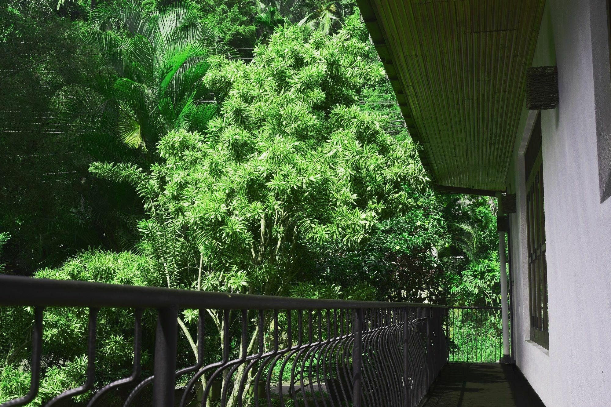Avaana By Springhills Hotell Kandy Exteriör bild