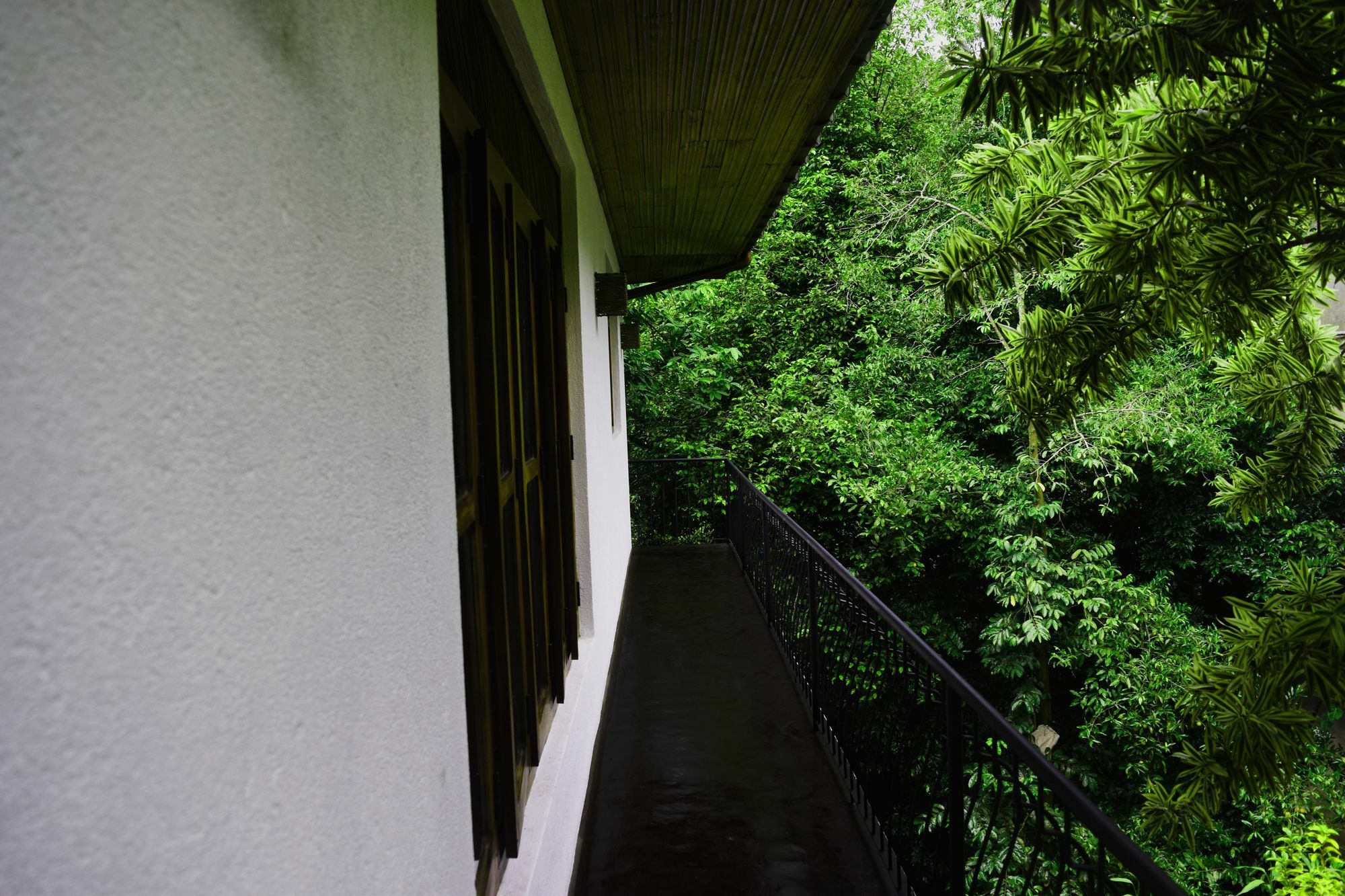 Avaana By Springhills Hotell Kandy Exteriör bild