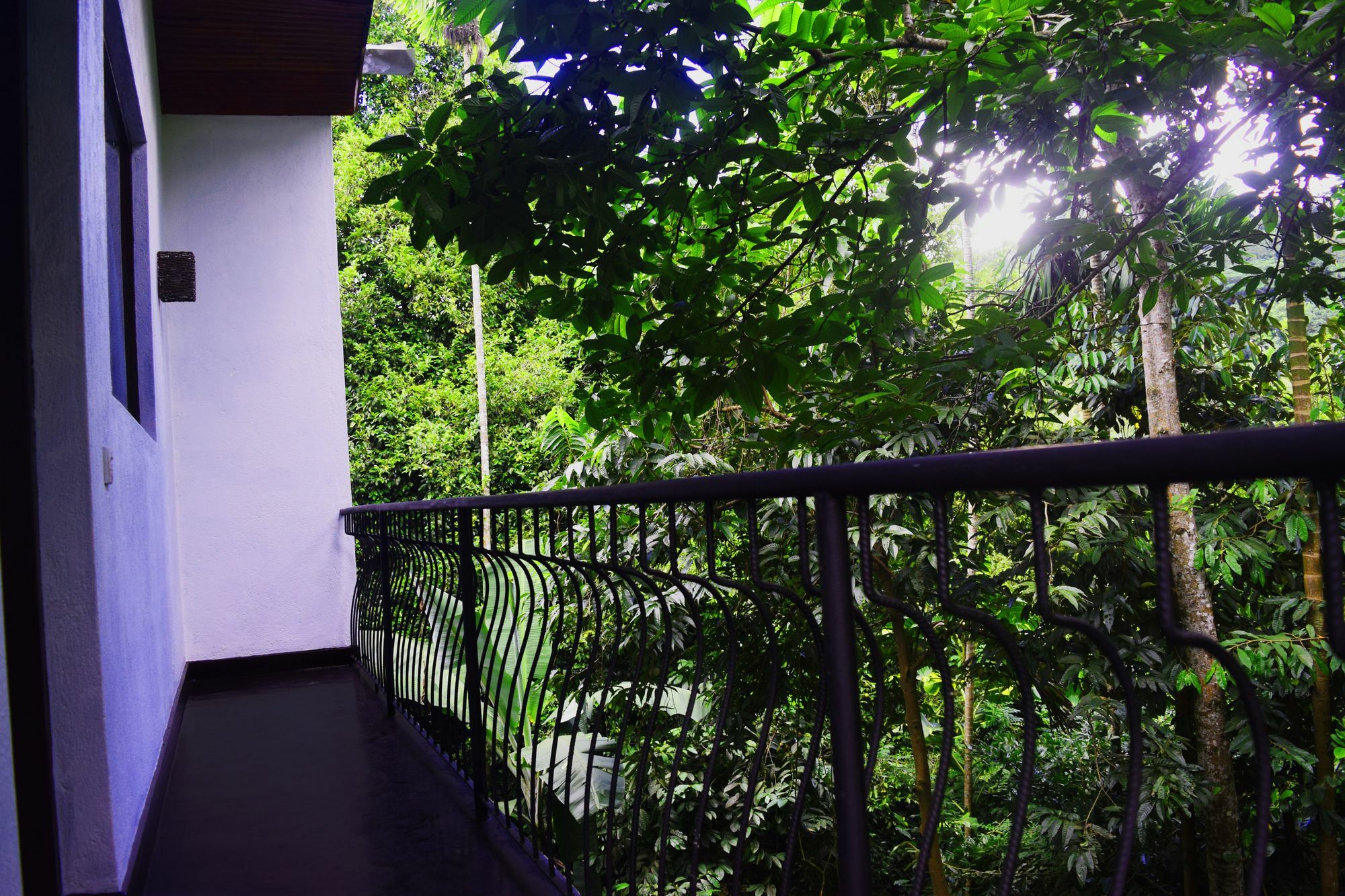 Avaana By Springhills Hotell Kandy Exteriör bild