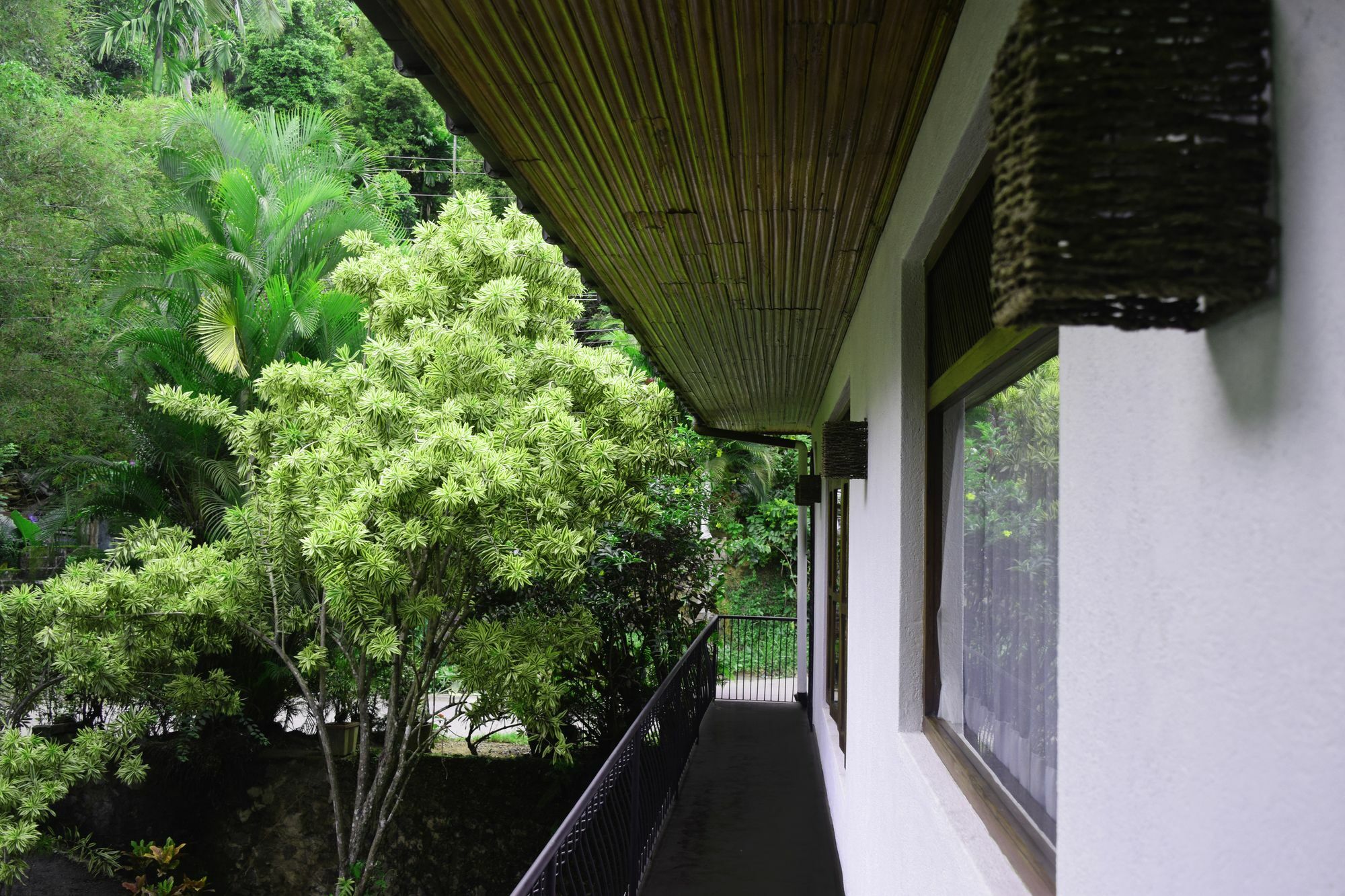 Avaana By Springhills Hotell Kandy Exteriör bild